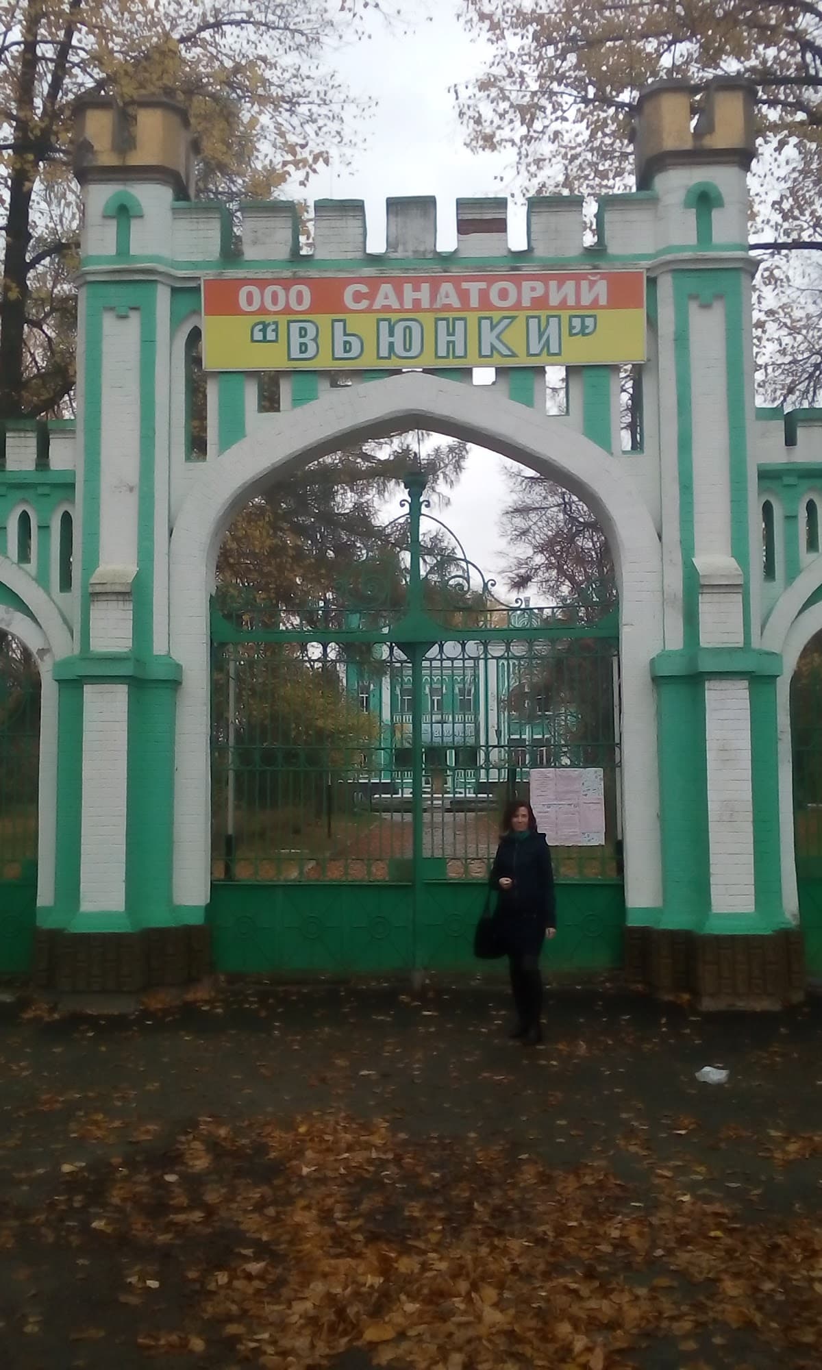 Усадьба Сапожкова (Вьюнки)