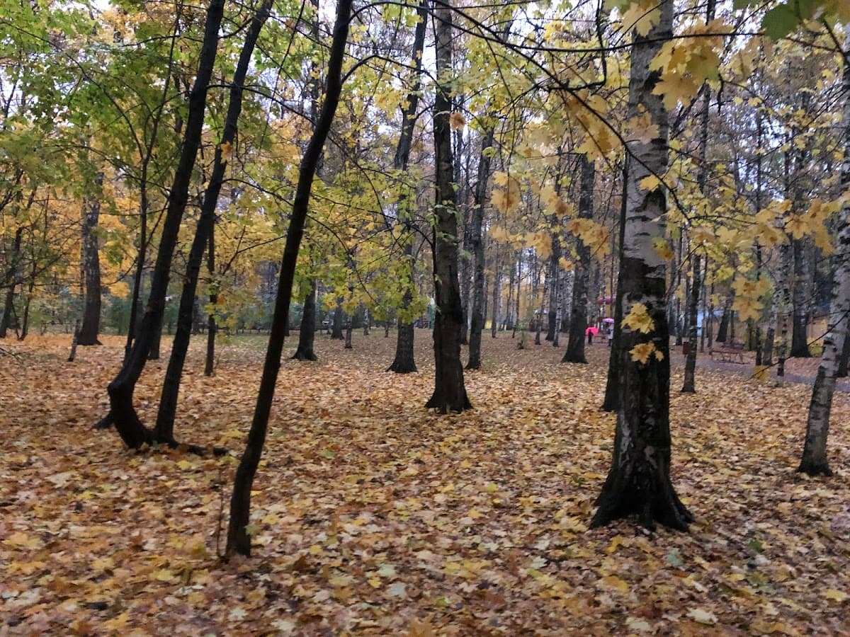 Парк культуры и отдыха города Лобня