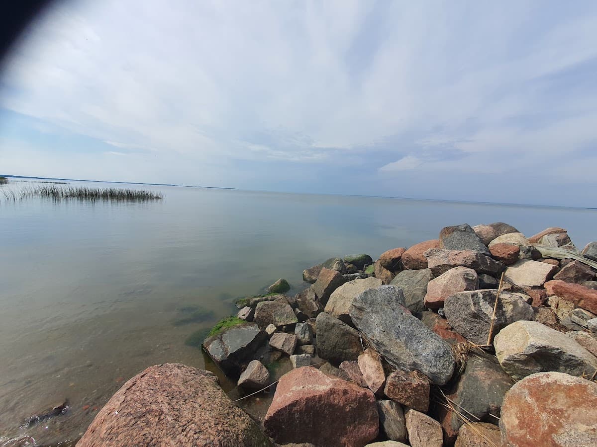 Городской парк Ладушкина